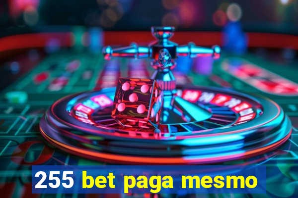 255 bet paga mesmo